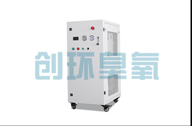 六盘水工厂化养鲈必看:2026年臭氧发生器替代传统消毒的最新方案