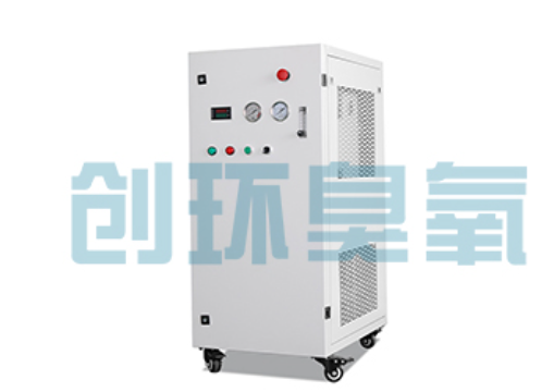 六盘水石斑鱼养殖水质调控完整指南:臭氧发生器配置与操作步骤