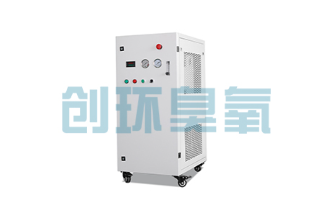 六盘水比传统换水更高效?臭氧发生器在石斑鱼养殖中的水质净化原理解析