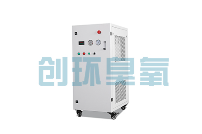 六盘水比传统换水更高效?臭氧发生器在石斑鱼养殖中的水质净化原理解析